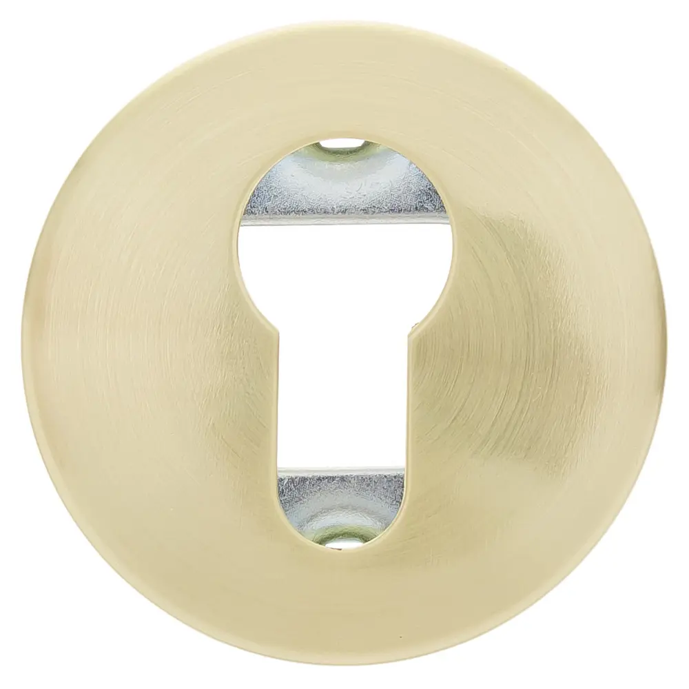 Накладка на цилиндр ASS-SC S.GOLD цвет золото 2 шт EDSON STLM-2057811