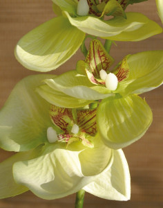 2398 788 a2 Искусственная орхидея Phalaenopsis, 92 см, real touch, бежево-зеленая H-andreas