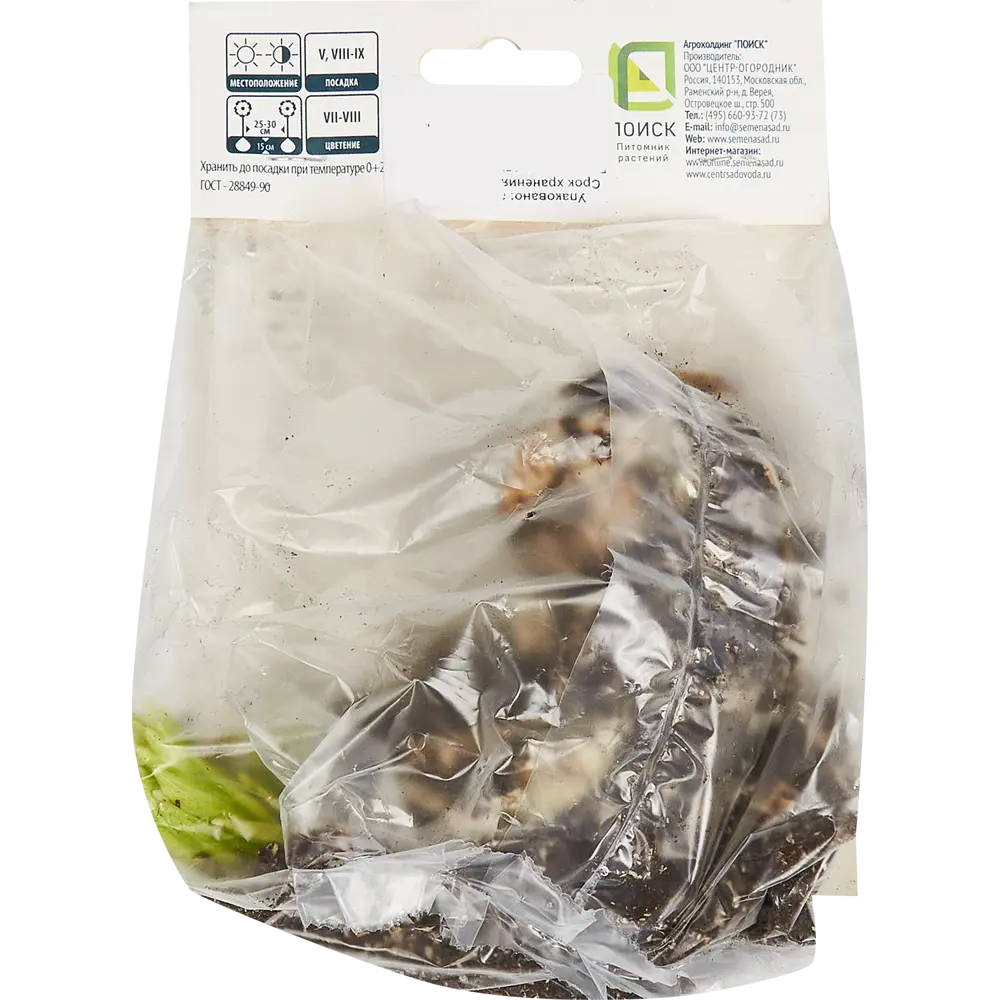 Лилия азиатская Ройал Кисс ПОИСК STLM-2187731 - Вид №1