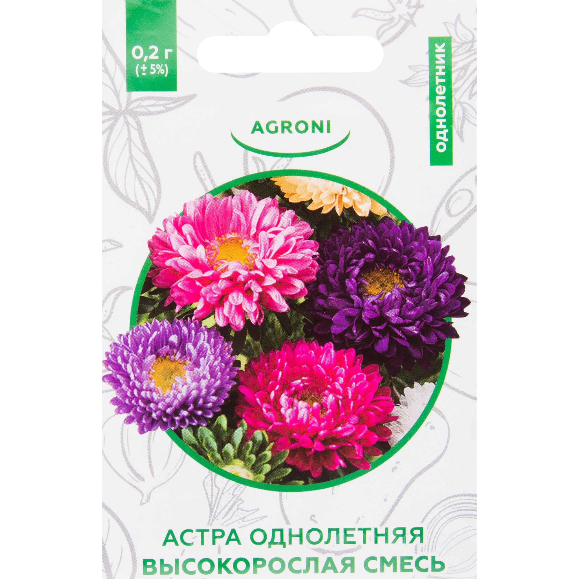 82457714 Астра помпонная XS Santreyd 