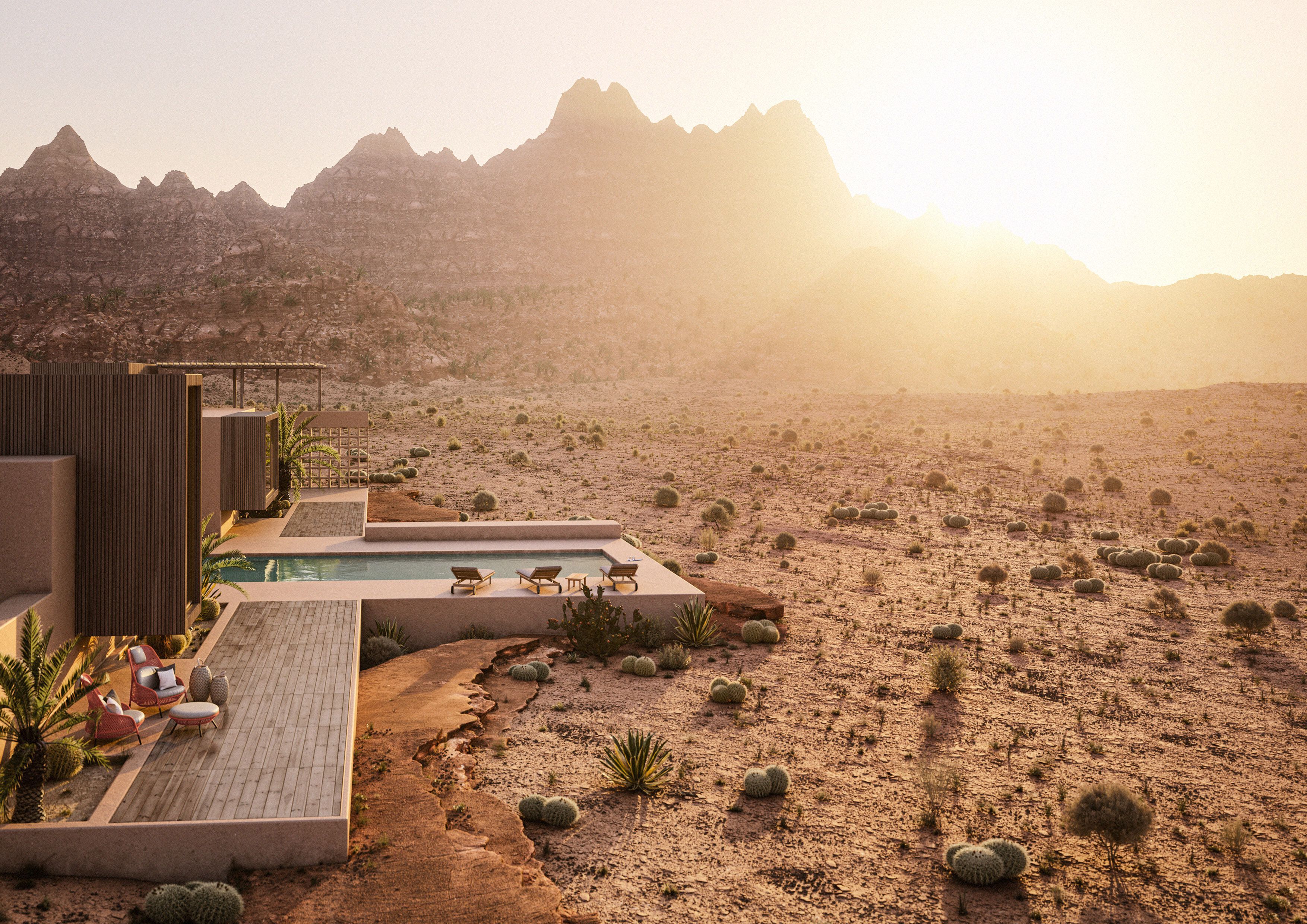 ТИК и ткань откидной садовый шезлонг DEDON TIBBO ARCH-00082802 - Вид №1