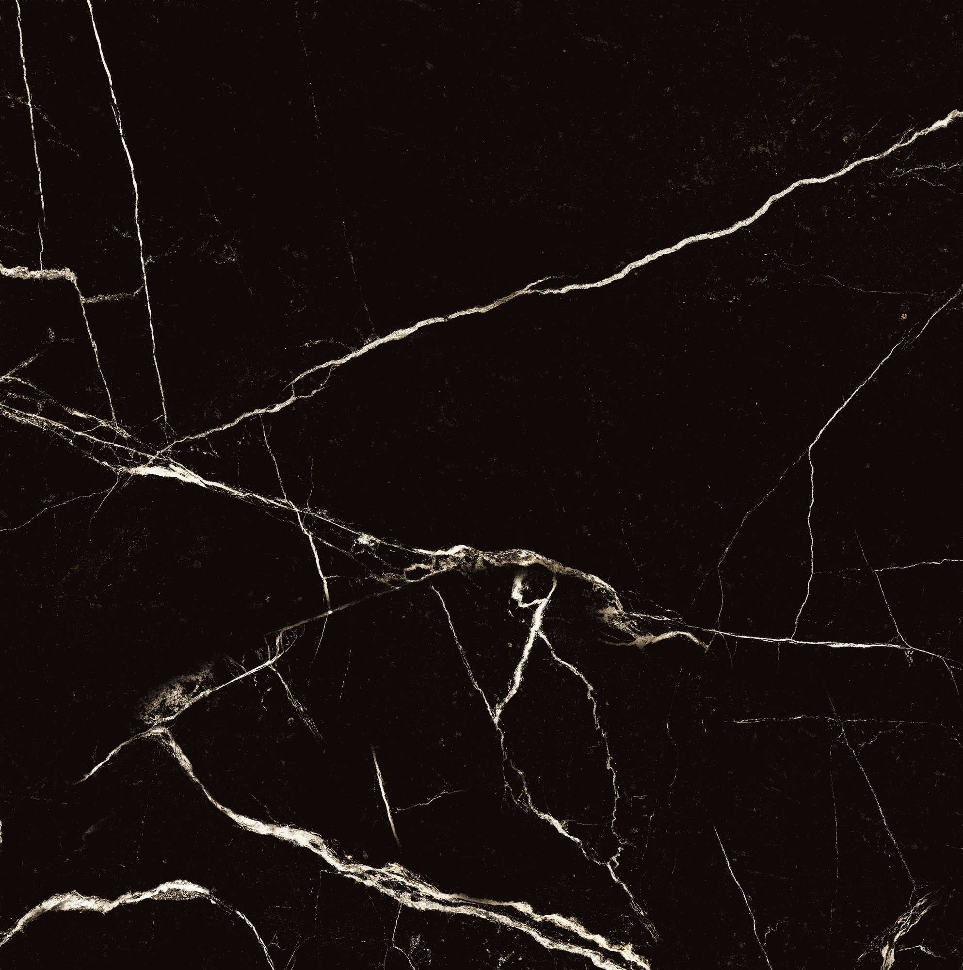 BLACK SPINDER — Элегантность черного мрамора HG2008-A Arcadia Ceramica - Вид №10