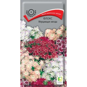 Семена цветов Поиск флокс Мерцающая звезда 86218001 STLM-2130242