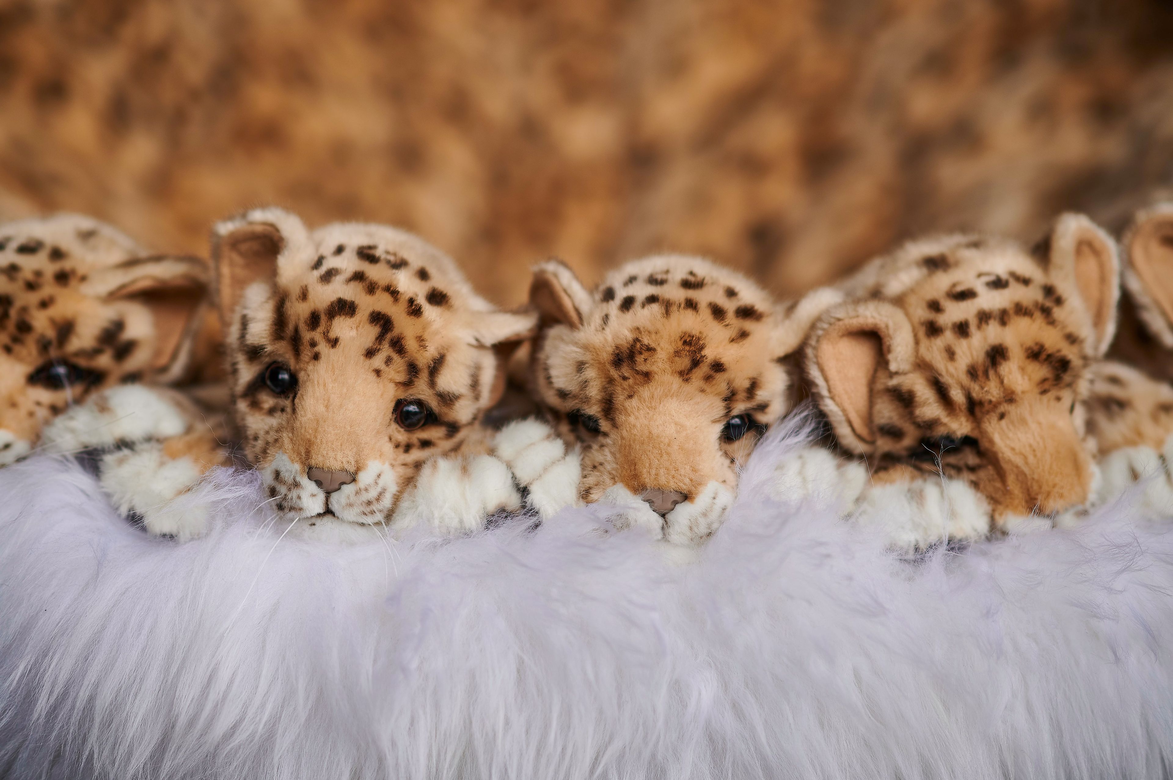 Полиэфирное кресло APCOLLECTION Leo ARCH-00065214 - Вид №14