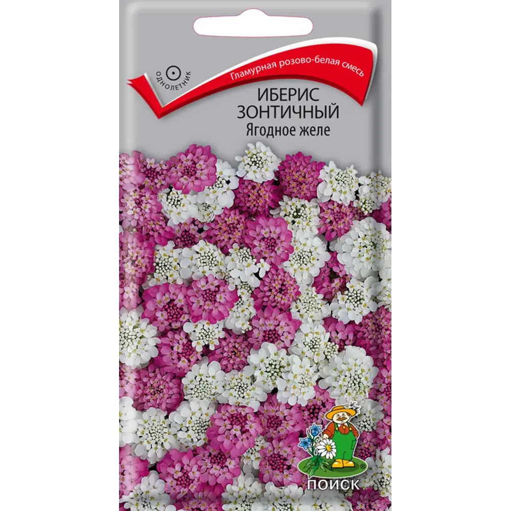 Семена цветов Поиск иберис зонтичный Ягодное желе 86217938 STLM-2104242 