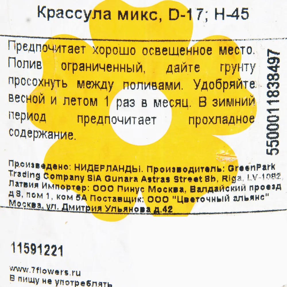 Крассула микс 17х45 см 11591221 STLM-2088538 Santreyd  - Вид №2
