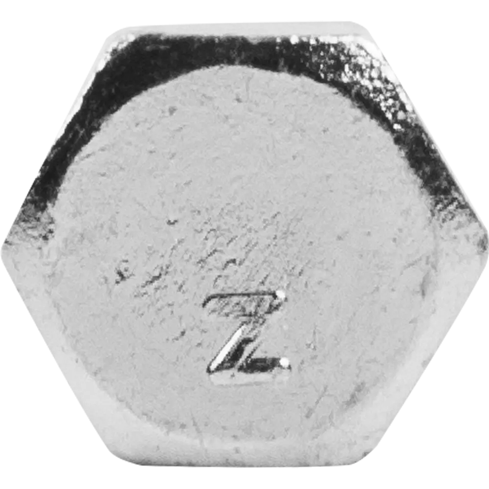 Шуруп c шестигранной головкой 6х100 мм Santreyd STLM-2141627 - Вид №1