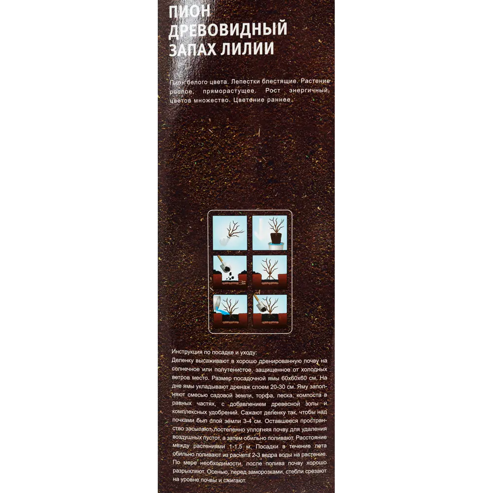Пион др. Запах лилии, Белый 15612798 STLM-2009945 Santreyd  - Вид №2
