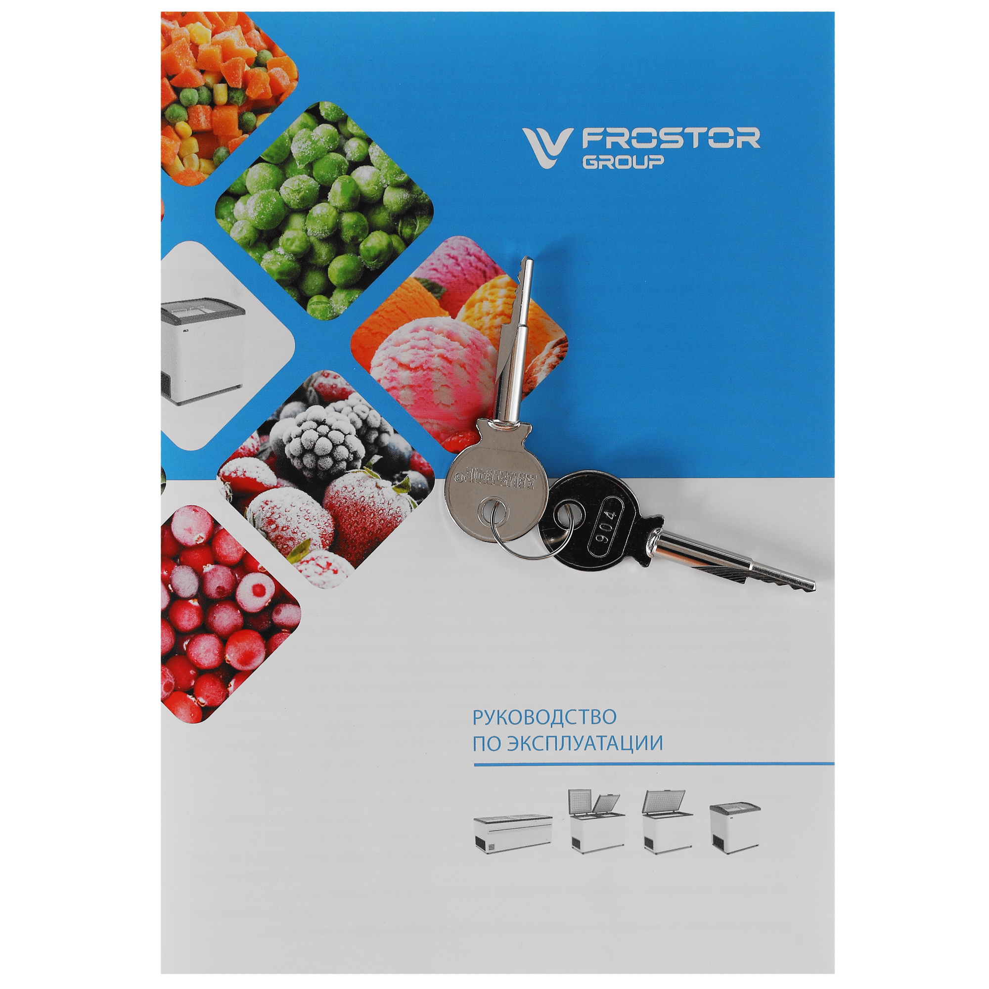 1229576 Морозильный ларь Frostor Gellar FG 350 C белый, синий STDN-0061411 - Вид №6