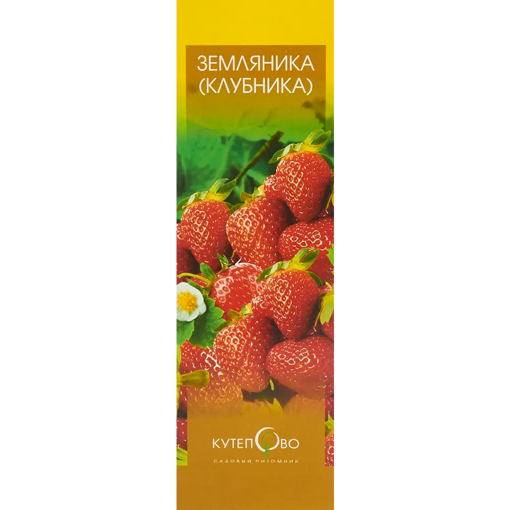 Земляника Юния Смайдс 9x30 см 3 шт. 83539276 STLM-2014649 Santreyd  - Вид №1