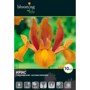 Ирис голландский «Отем Принцесс» 17977731 STLM-2094492