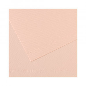 200321314 Бумага для пастели Mi-Teintes 160 г/м2 50 х 65 см лист №103 розовый Canson