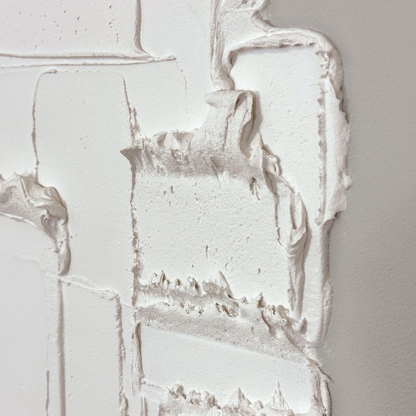 Холст рамки Agave SPATULA ARCH-00109674 - Вид №4