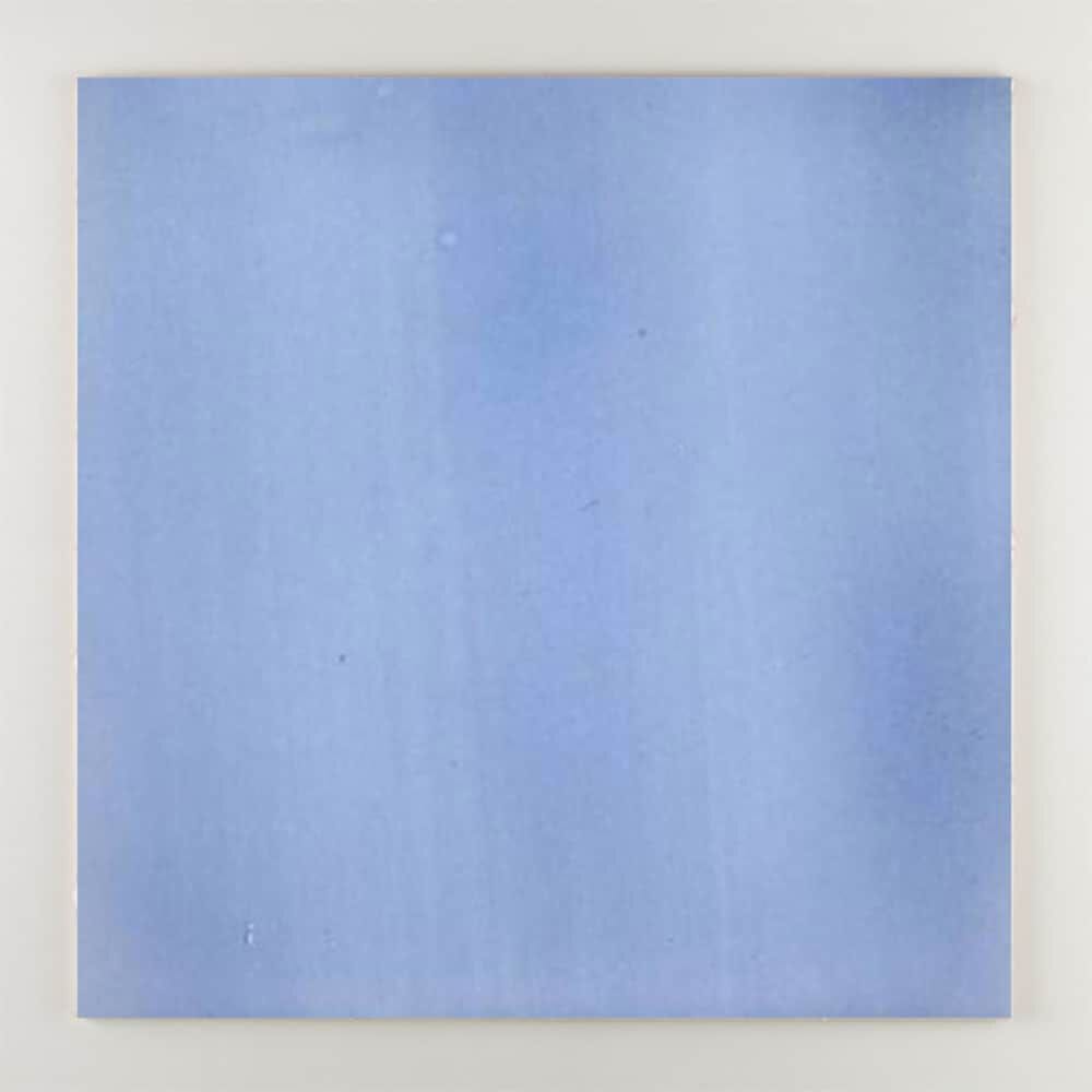 Пол / покрытие ручной работы La Riggiola одноцветный ARCH-00131013 - Вид №12