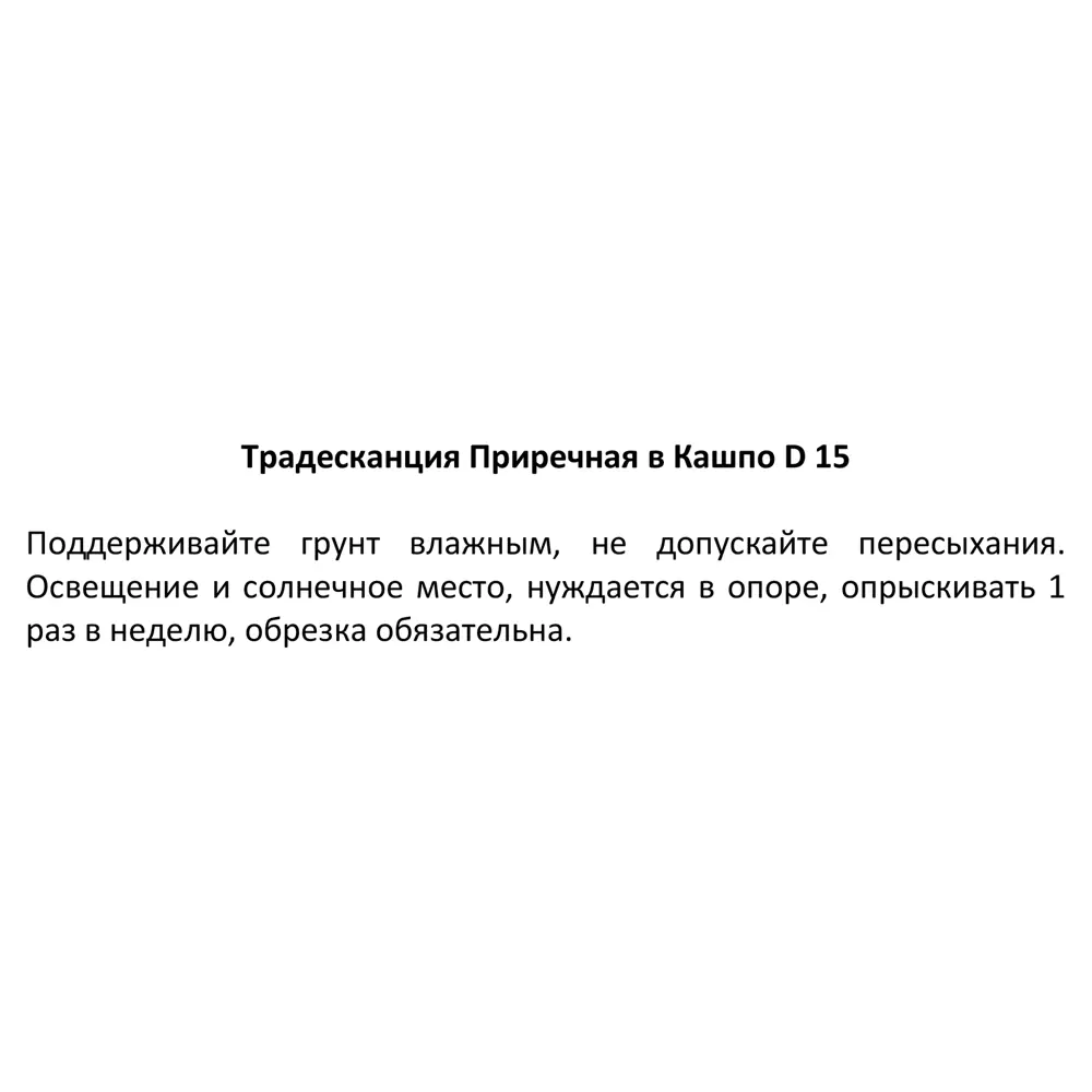 Santreyd Традесканция Зебрина в кашпо с розово-зелеными листьями 85535971 STLM-0965373 - Вид №3