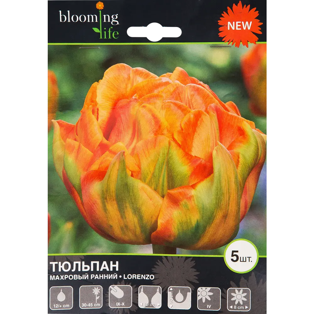 Тюльпан «Лоренцо» размер луковицы 12, 5 шт BLOOMING LIFE STLM-2044991