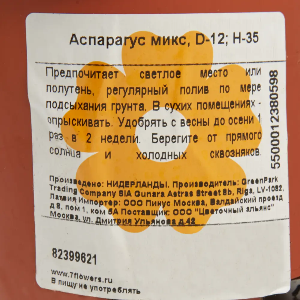 Аспарагус микс ø12 h35 см Цветочный альянс Santreyd STLM-2160678 - Вид №2