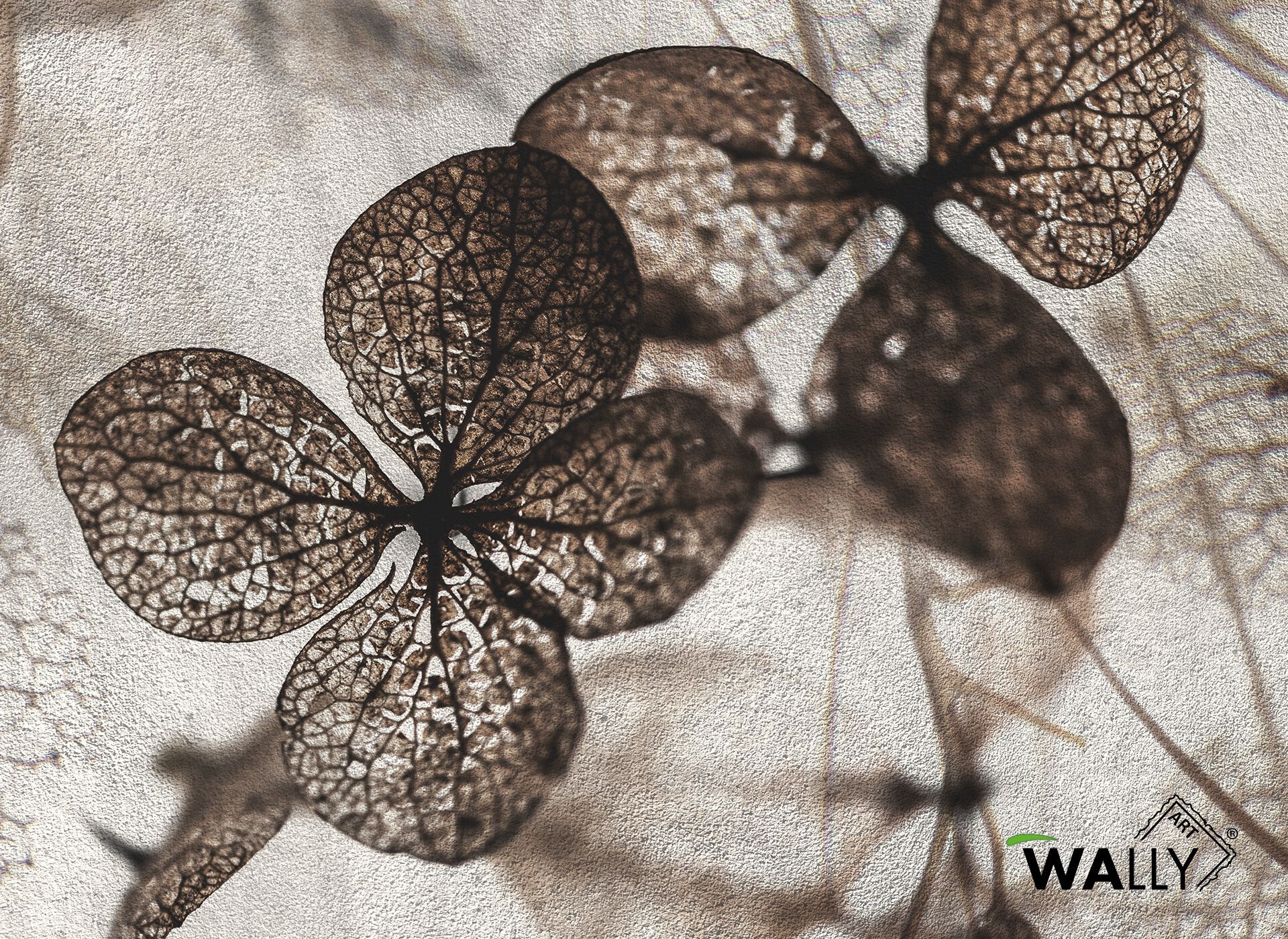 Моющиеся нетканые обои WALLYART Lacollection ARCH-00049225 - Вид №2