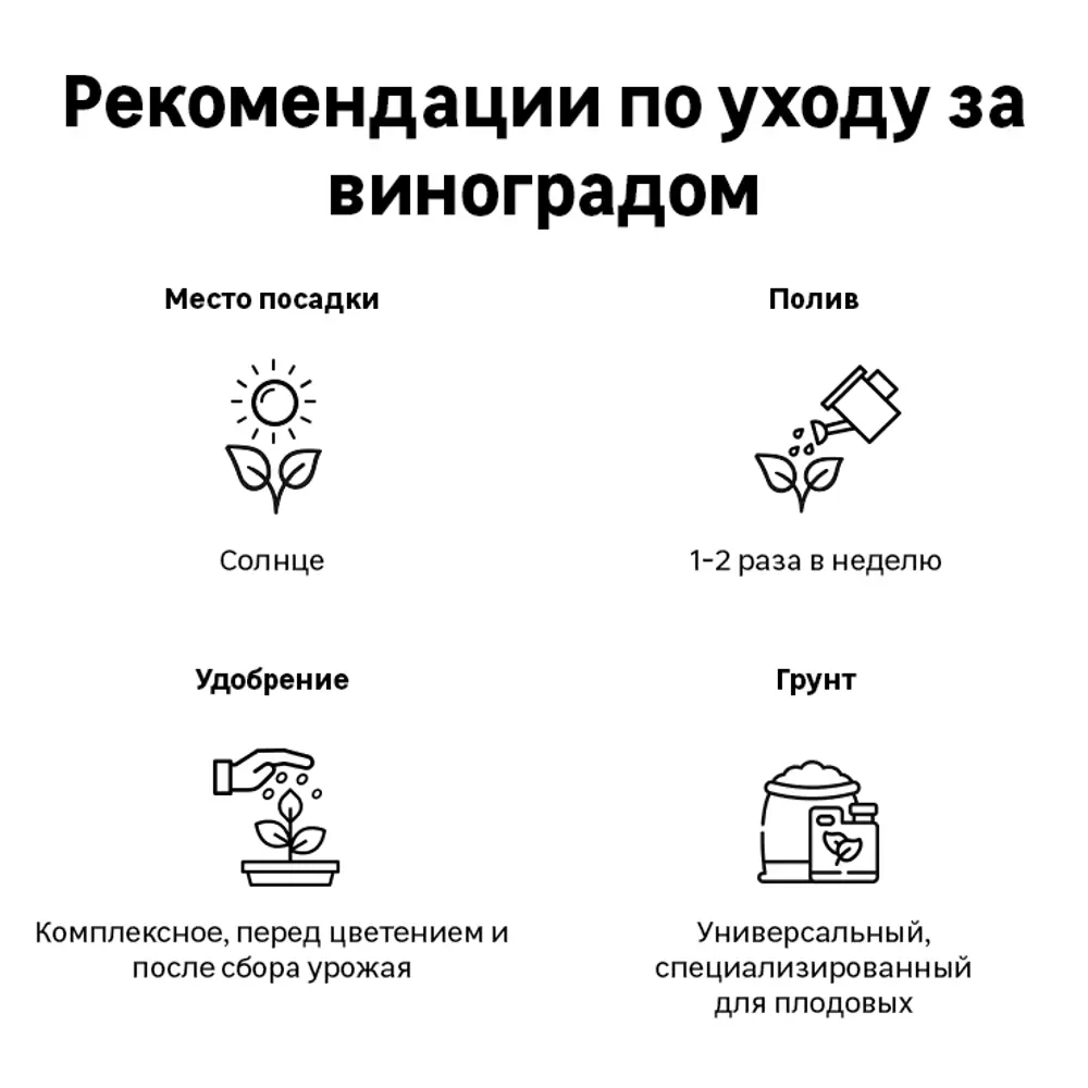 Виноград пятилисточковый Партеноциссус в тубе Поиск инвест 82528920 STLM-2151043 Santreyd  - Вид №3