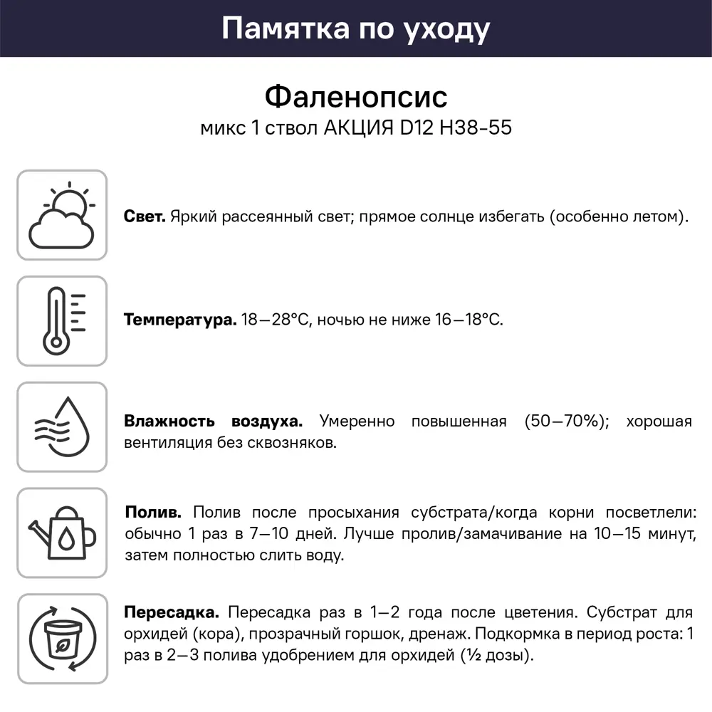 Фаленопсис микс ø12 h38 - 55 см 89434581 STLM-2006117 Santreyd  - Вид №6