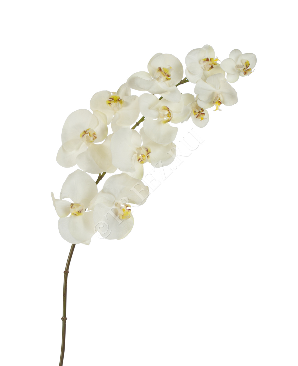 30.03160265WH Орхидея Фаленопсис Sensitive Botanic цвет естественный белый Цветочная коллекция 