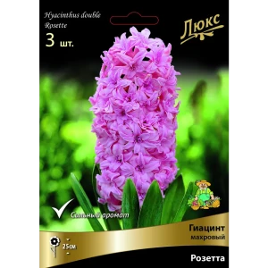 ПОИСК Гиацинт махровый Розетта - нежно-розовые луковицы для сада 89381283