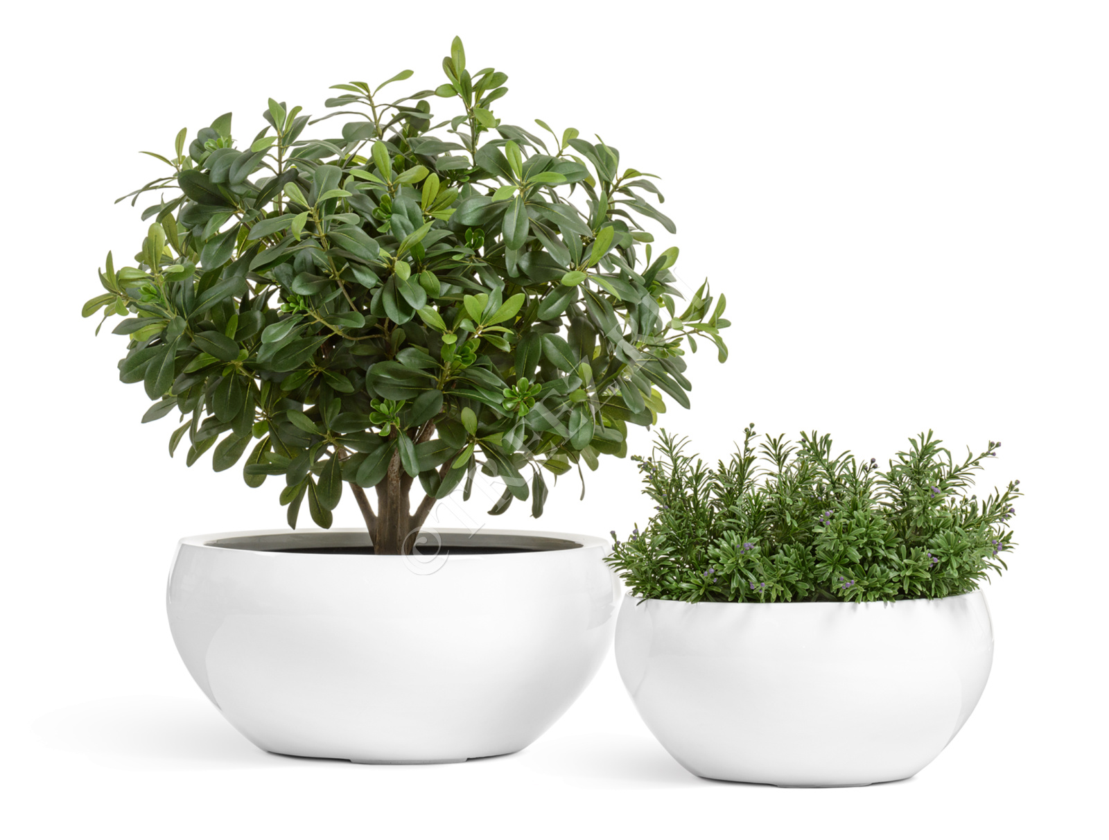 41.3321-05-065-WH-50 Кашпо  Effectory - серия Gloss - Низкая полусфера - Белый глянцевый лак Цветочная коллекция  - Вид №3