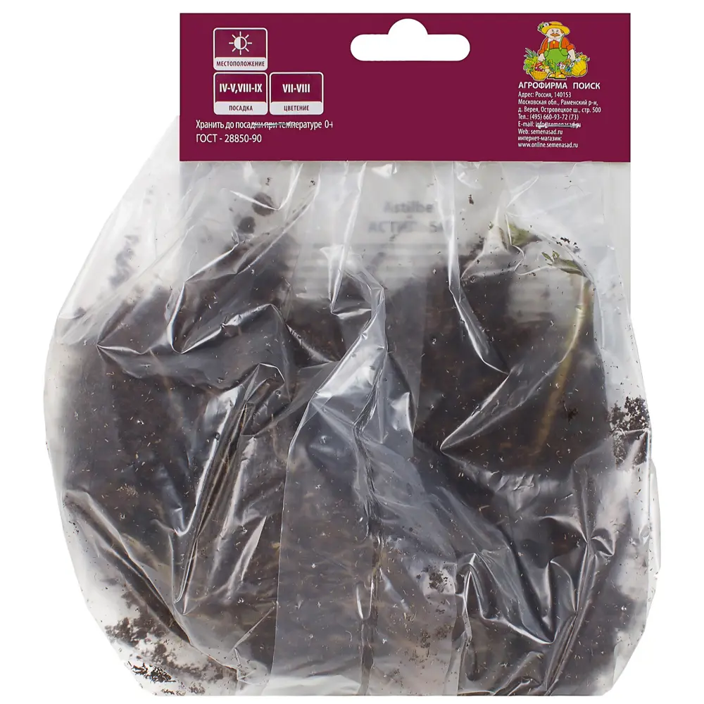 Астильба «Арендса», с капером микс Santreyd STLM-2026105 - Вид №2