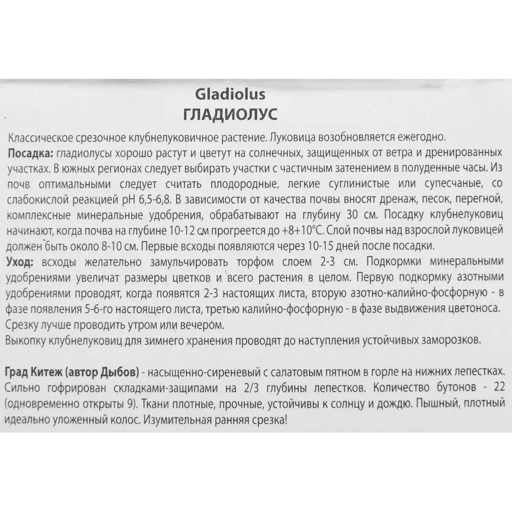 Гладиолус Град Китеж, 3 шт 86410051 STLM-2054982 ПОИСК  - Вид №2