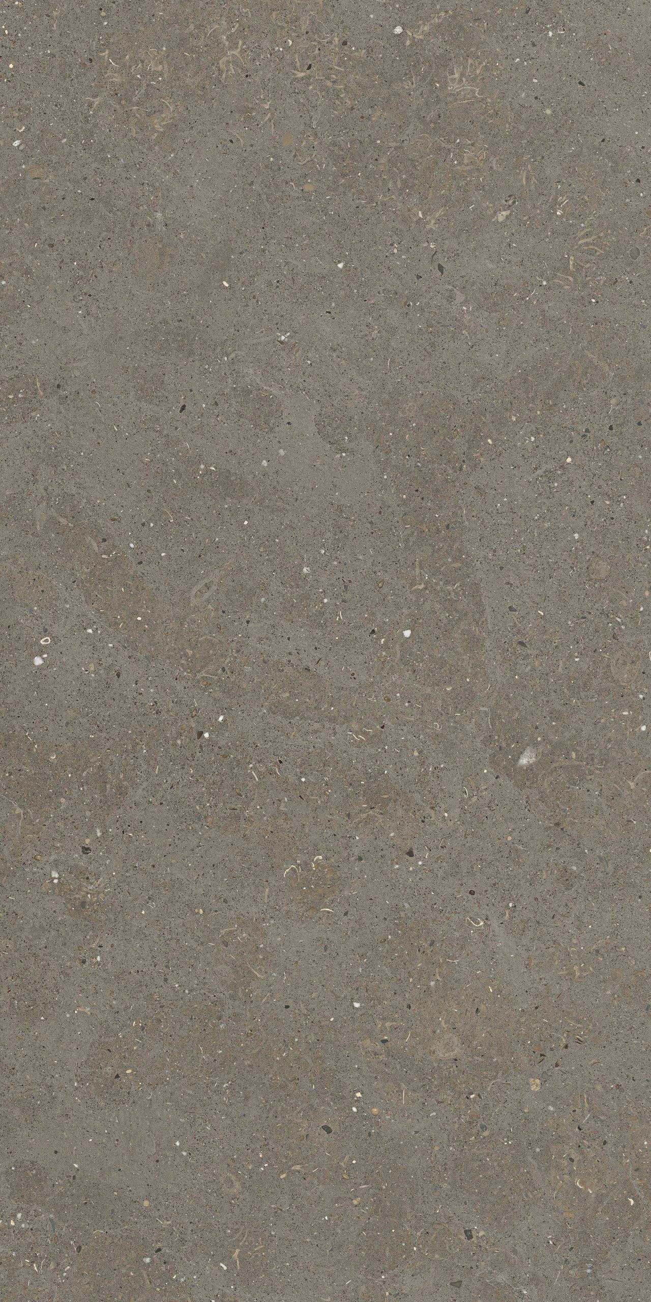 Пол / облицовка керамогранита с эффектом камня Fiandre сплошная ARCH-00087079 - Вид №12