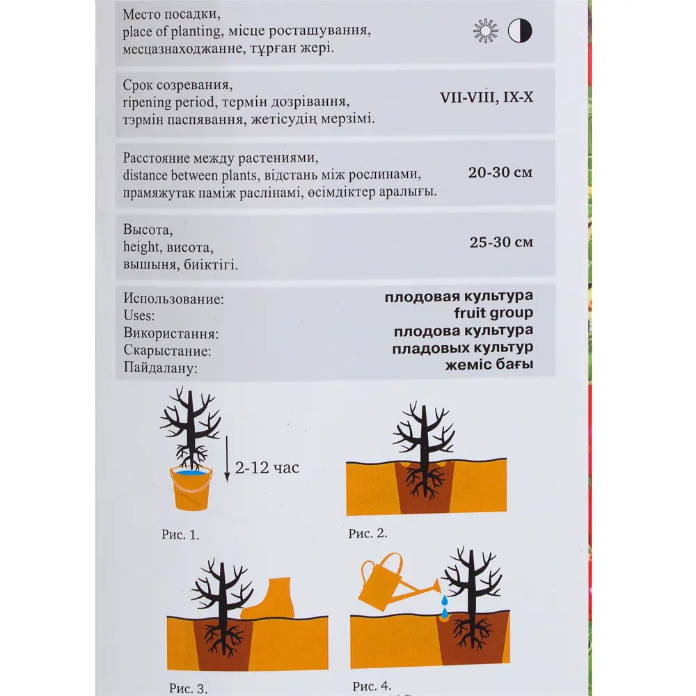 Брусника Коралл 81951314 STLM-2171094 Santreyd  - Вид №2
