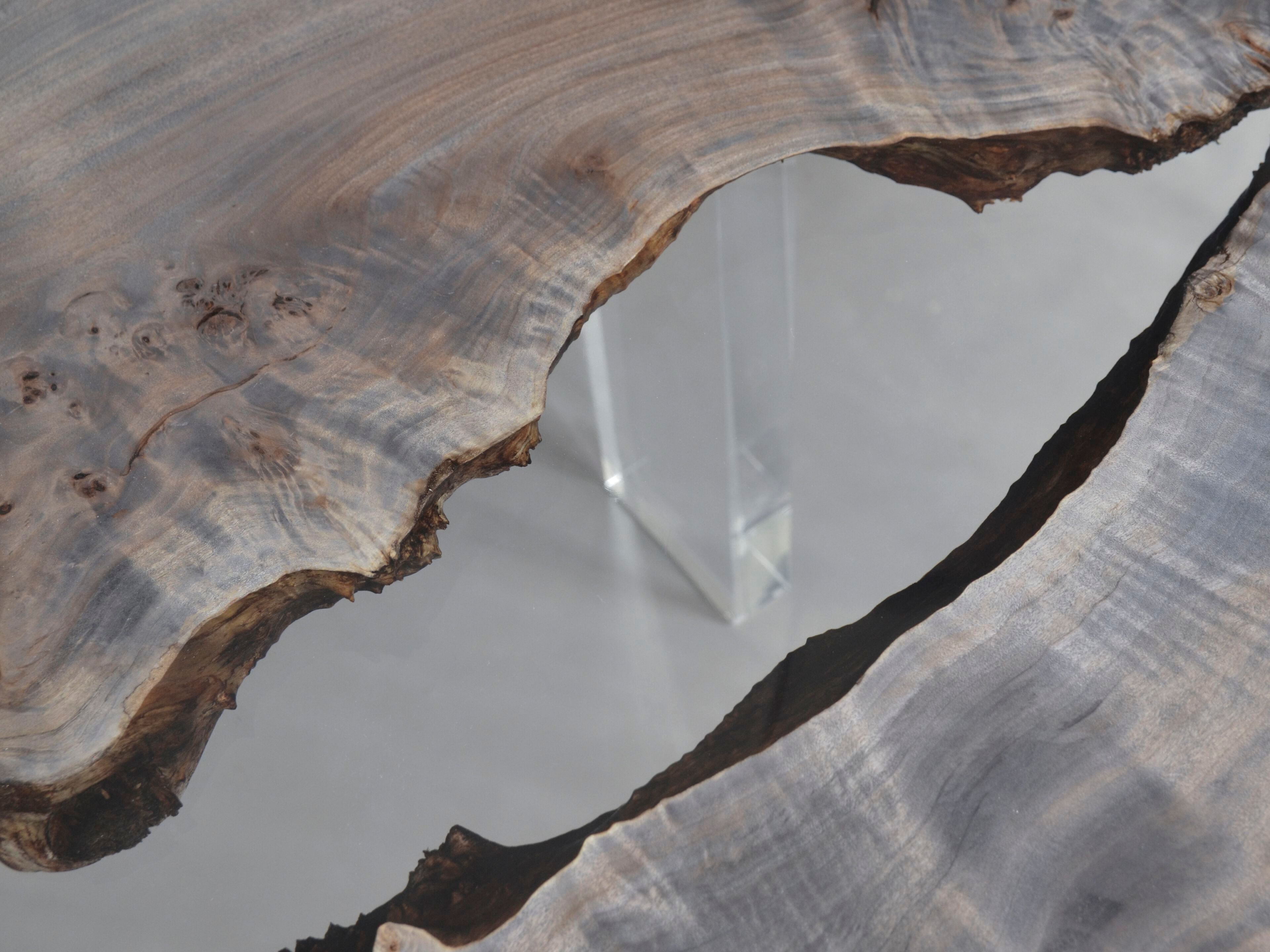 Прямоугольный стол из тополя и смолы alcarol Geomorphic 2023 ARCH-00065850 - Вид №9