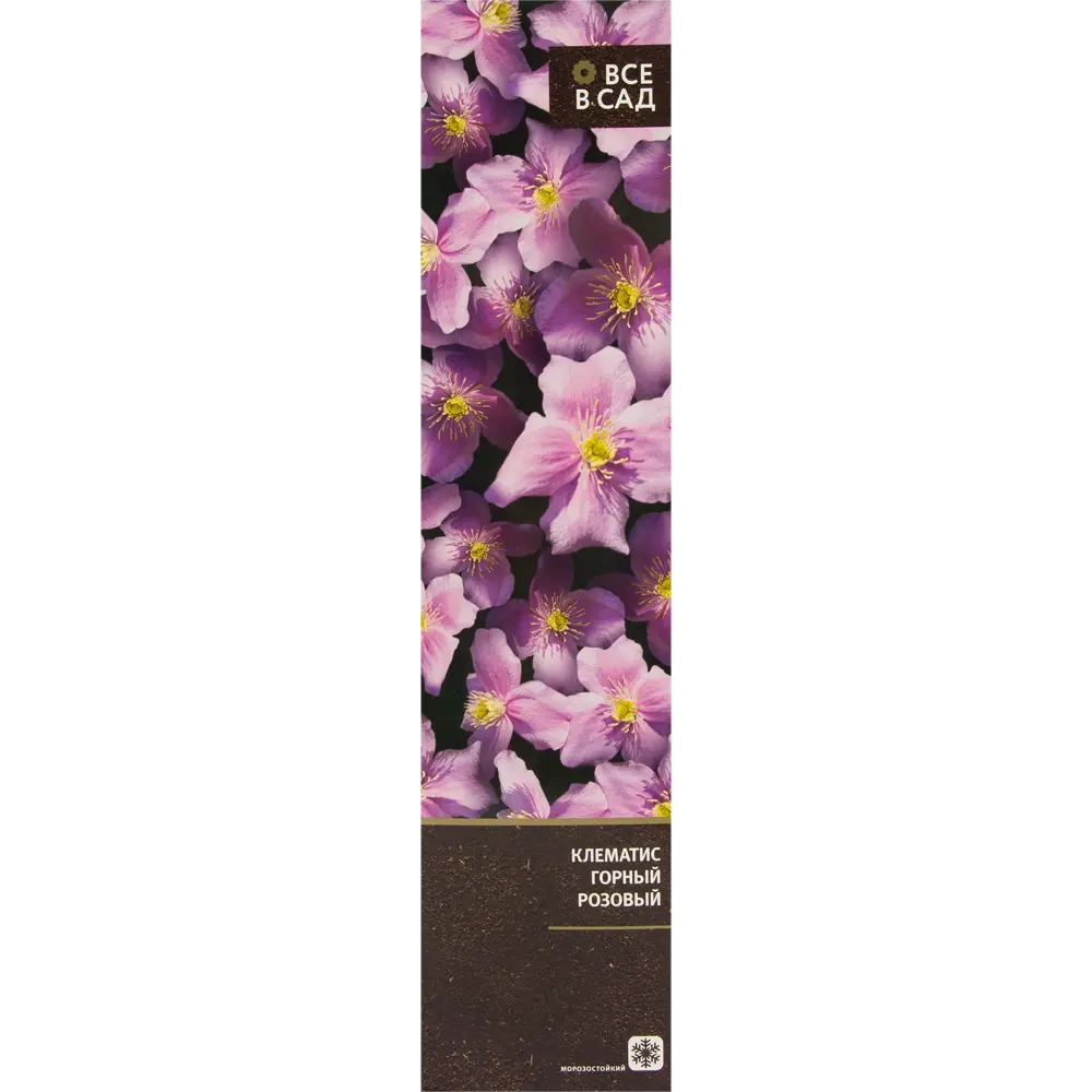 Клематис горный розовый в тубе ВСЕ В САД STLM-2008720