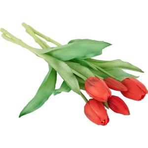 Тюльпан искусственные Soft touch букет 5 шт., цвет красный 83992215 STLM-2058510