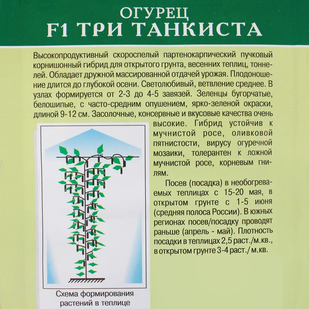 Огурец «Три танкиста» F1 81932525 STLM-2141380 Santreyd  - Вид №1