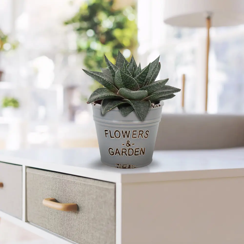 Кашпо-кактусник 8.5x8x10 см v0.4 л керамика серый GARDMAX STLM-2106539 - Вид №6