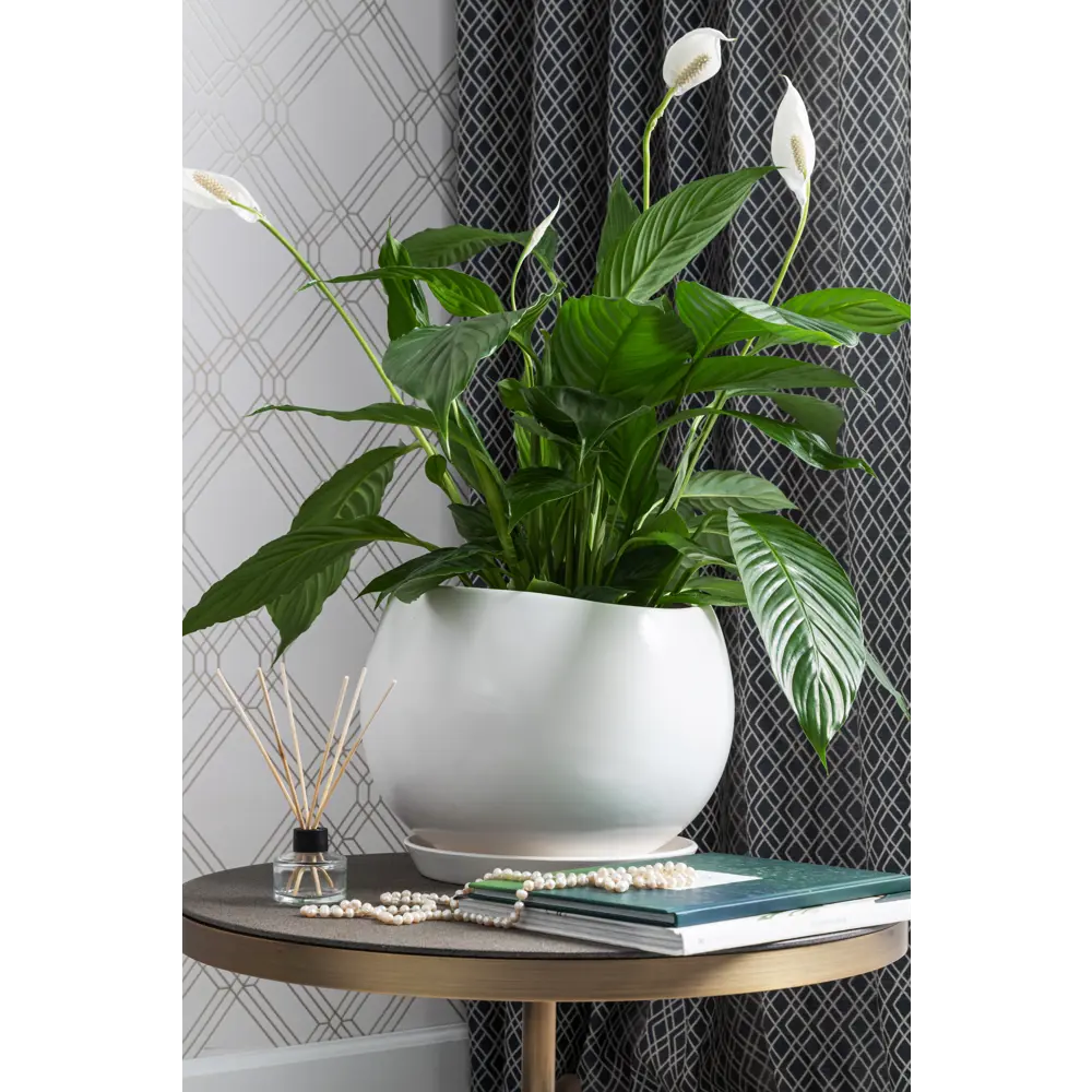 Santreyd Адель — керамический горшок для комнатных растений 81932590 STLM-0014177 - Вид №6