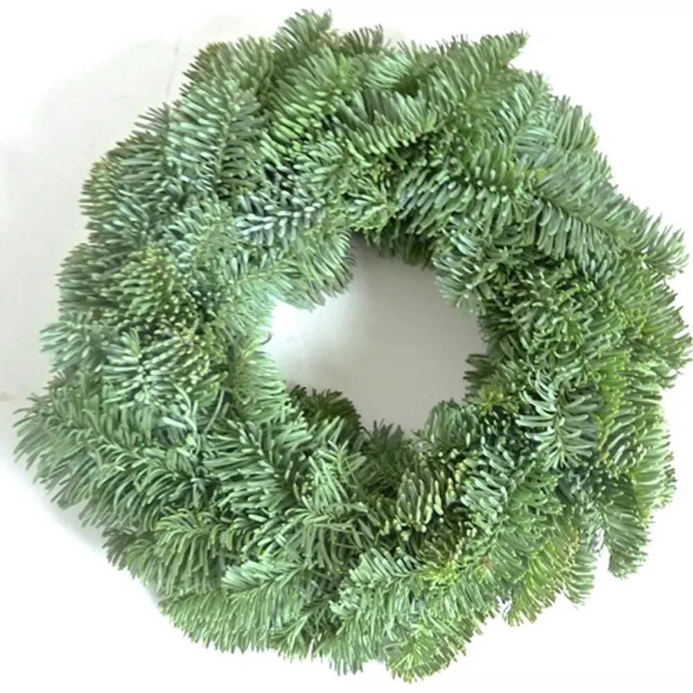 Венок рождественский №4 25 см Santreyd STLM-2113941