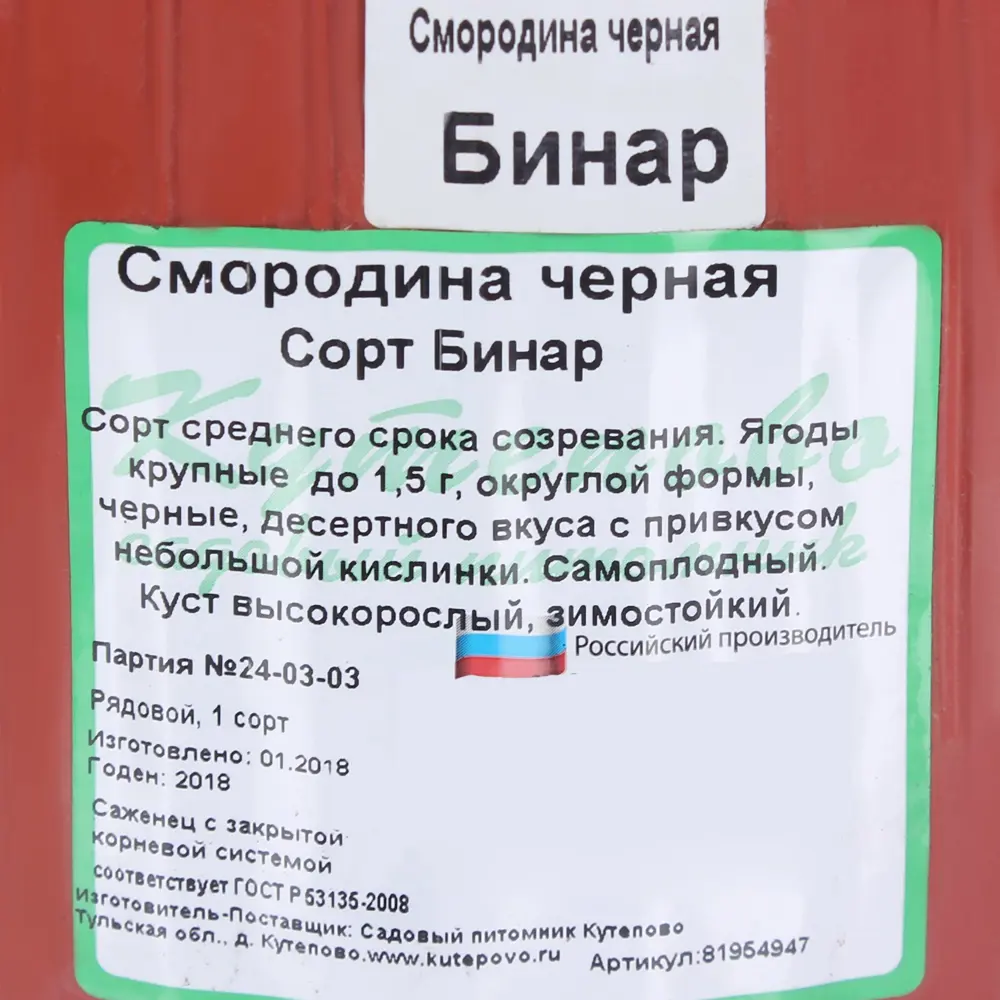 Смородина чёрная С2 «Бинар» h40 81954947 STLM-2189442 Santreyd  - Вид №3
