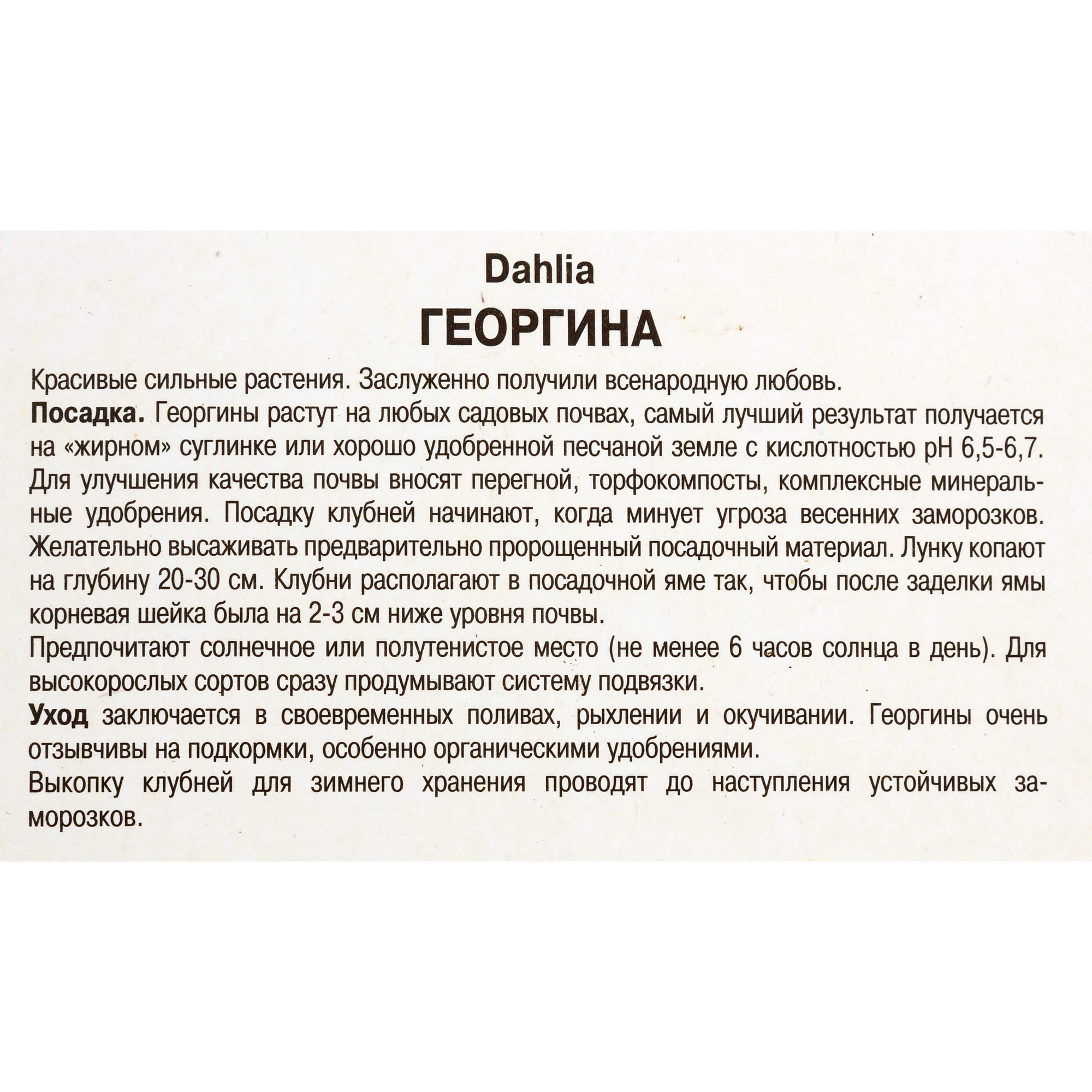 82118678 Георгины декоративные «Сидлер Штольце», 1 шт Santreyd  - Вид №2