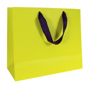 465930 Пакет подарочный, 30 x 26 x 13,5 см, желтый Made in Respublica*
