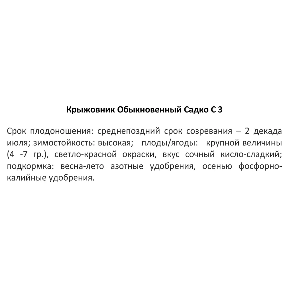 Крыжовник обыкновенный Садко ø15 h45 см PLANTMARKET STLM-2006756 - Вид №3