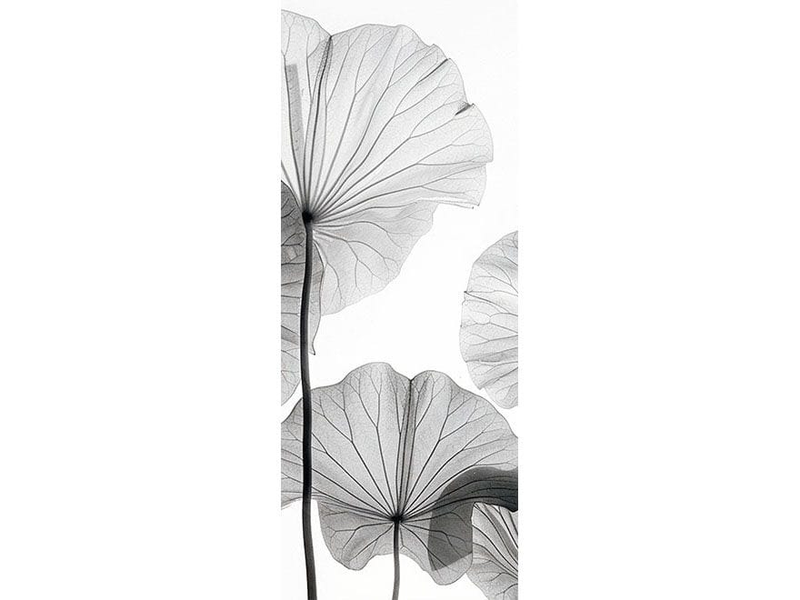 Наклейка на дверь Creativespace крышка двери ARCH-00120717 - Вид №1