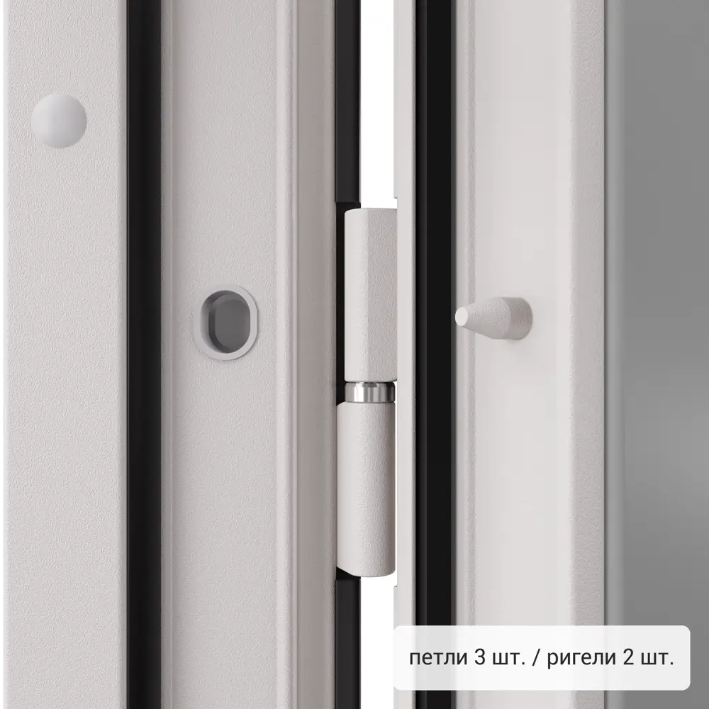 Дверь входная металлическая Фолд тэя 950 мм левая TOREX STLM-2079353 - Вид №6