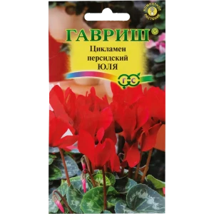 Цикламен персидский «Юля», 3 шт. 82472687 STLM-2206400