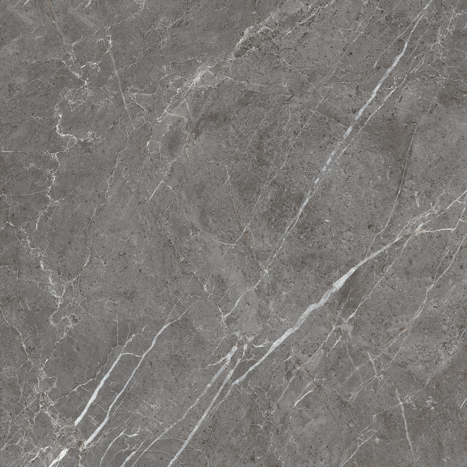 Керамогранит ESPERIA GRIGIO 60х60 Arcadia Ceramica CR6001-A  - Вид №8