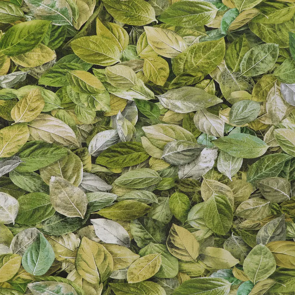 Обои флизелиновые Elysium Шелест зеленые 1.06 м Е18207 STLM-2204127 - Вид №1
