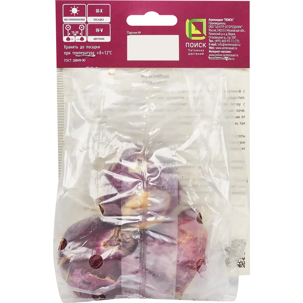 Гиацинт Питер Стайвесант от ПОИСК - фиолетовое великолепие в саду, 3 луковицы 85204916 STLM-1570134 - Вид №1