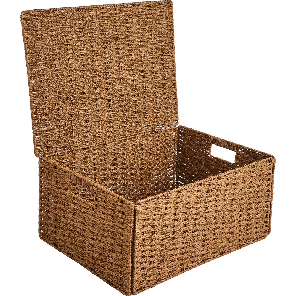 Корзина с крышкой для хранения 45x21x33 см бумага цвет коричневый SPACEO Kub STLM-2003506 - Вид №6