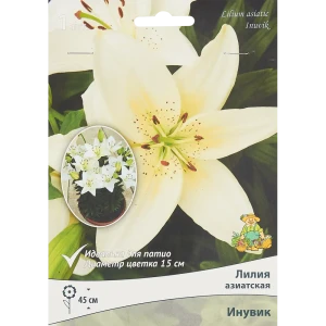 Лилия азиатская Инувик 85186029 STLM-2200276